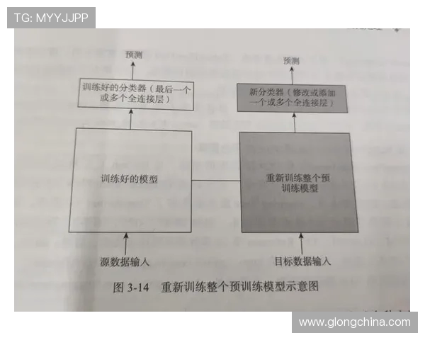 杭州极限运动队耐力对比深度解析与训练策略探讨